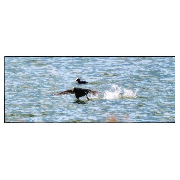 PHOTO84, CLUB, 84 , LUBERON